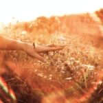 Altering Habits to Better Your Life