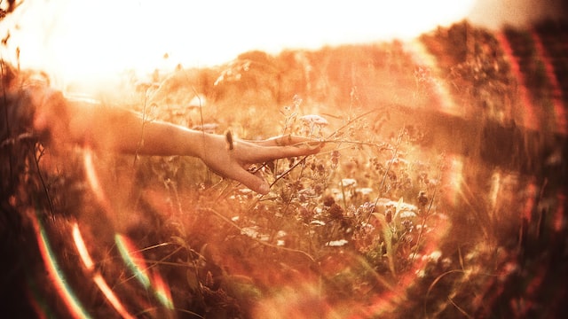 Altering Habits to Better Your Life